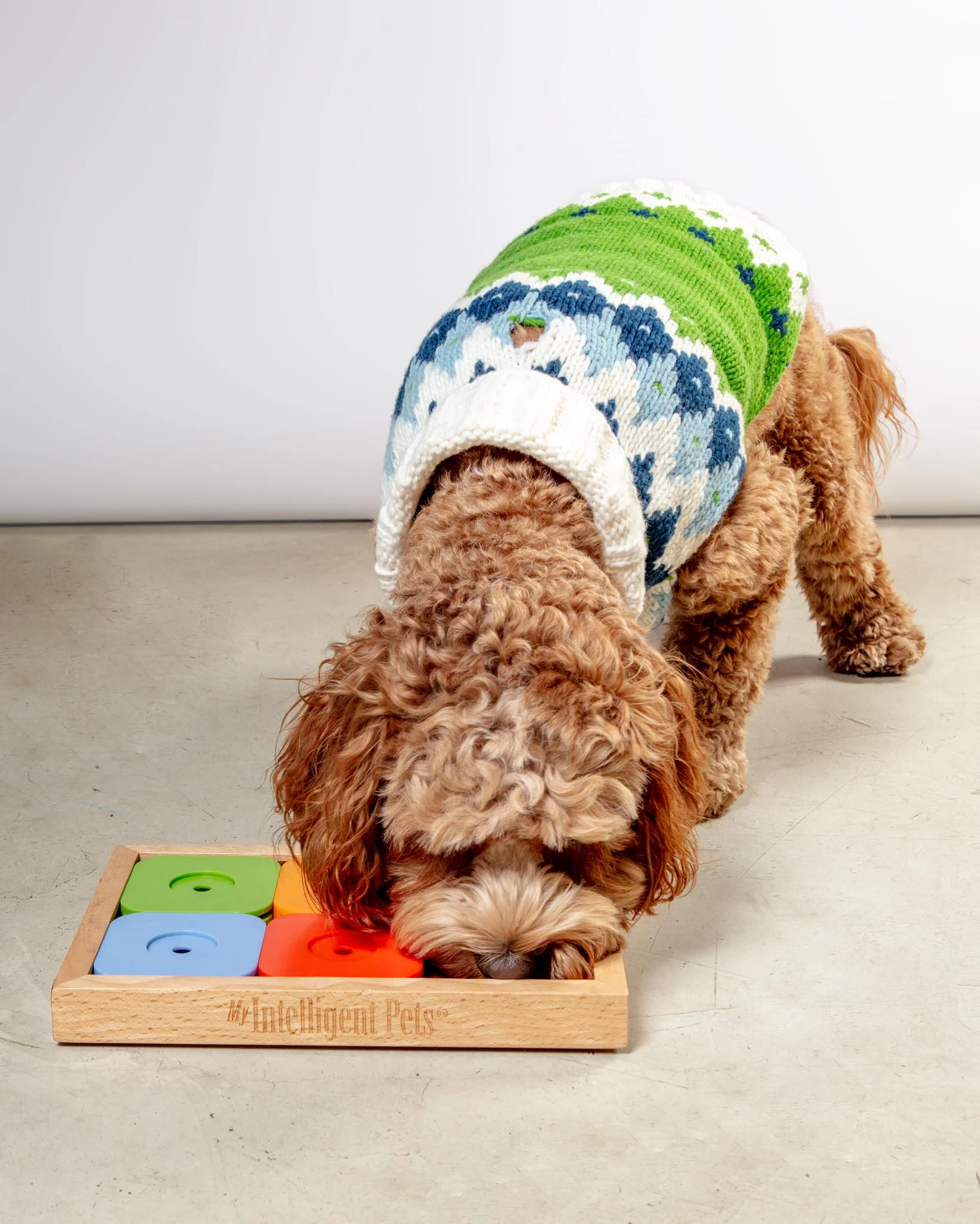 Sudoku Dog Treat Puzzle Game in Rainbow Edition (6 squares) - Image 2