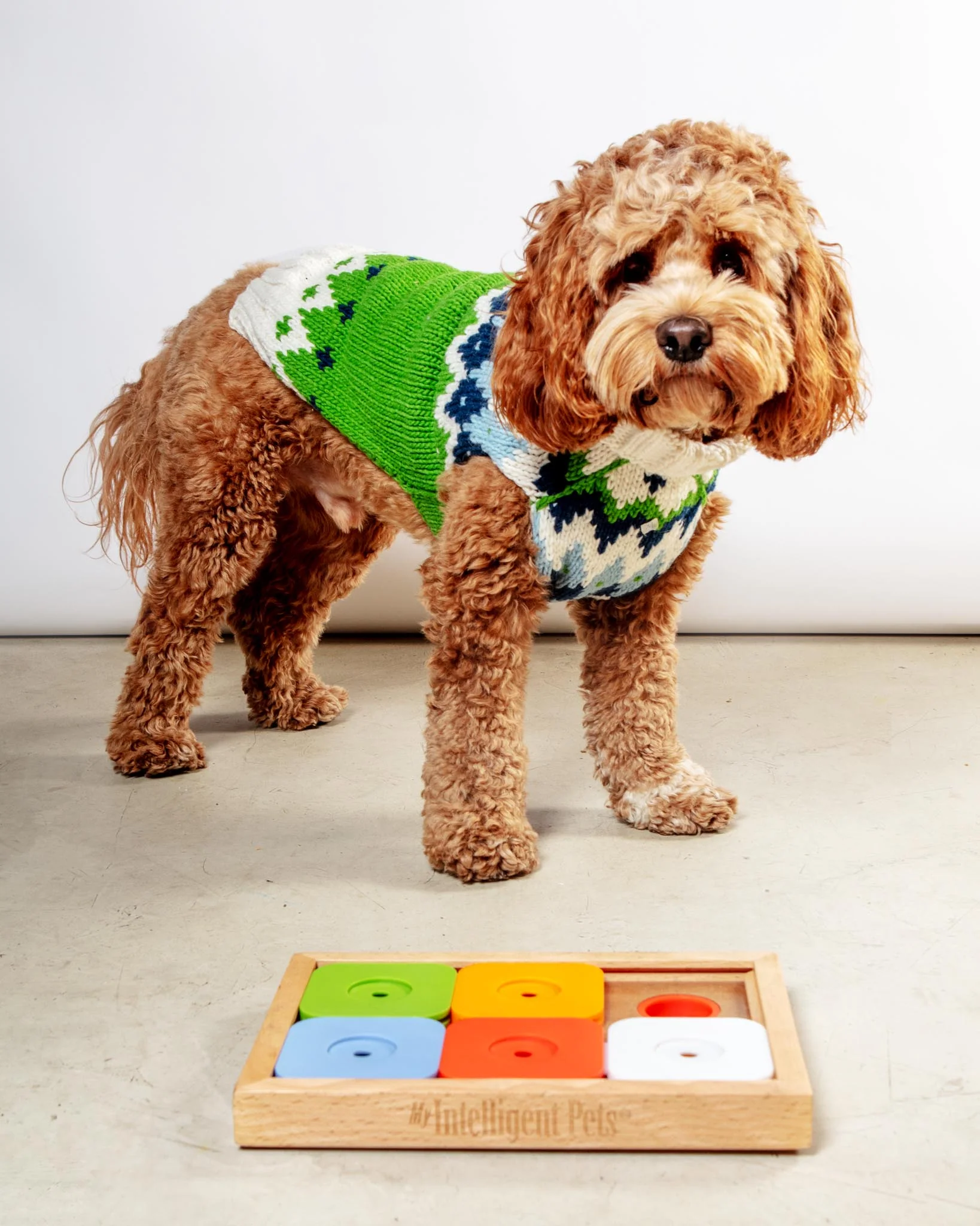 Sudoku Dog Treat Puzzle Game in Rainbow Edition (6 squares) - Image 3