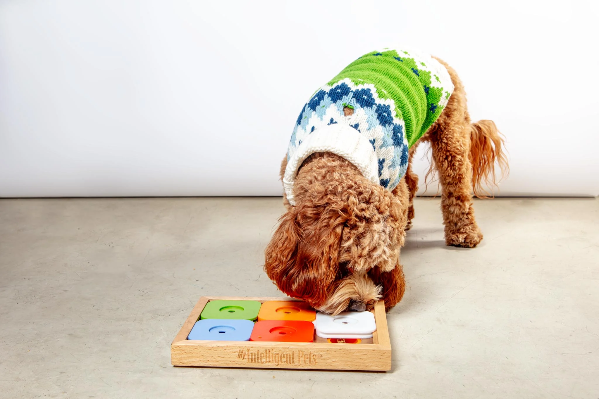 Sudoku Dog Treat Puzzle Game in Rainbow Edition (6 squares) - Image 4