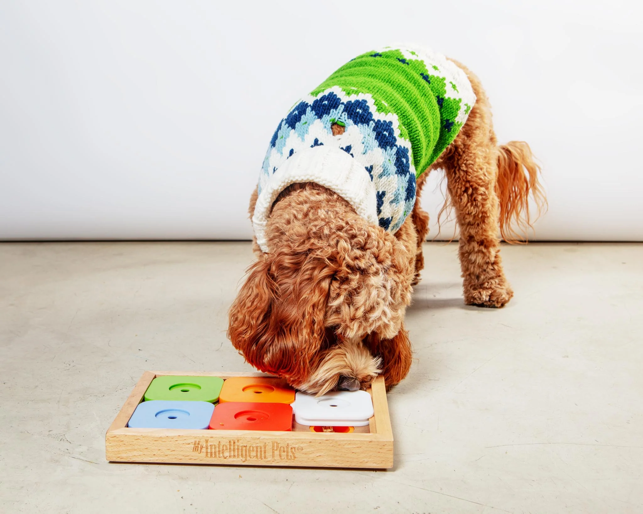 Sudoku Dog Treat Puzzle Game in Rainbow Edition (6 squares) - Image 5