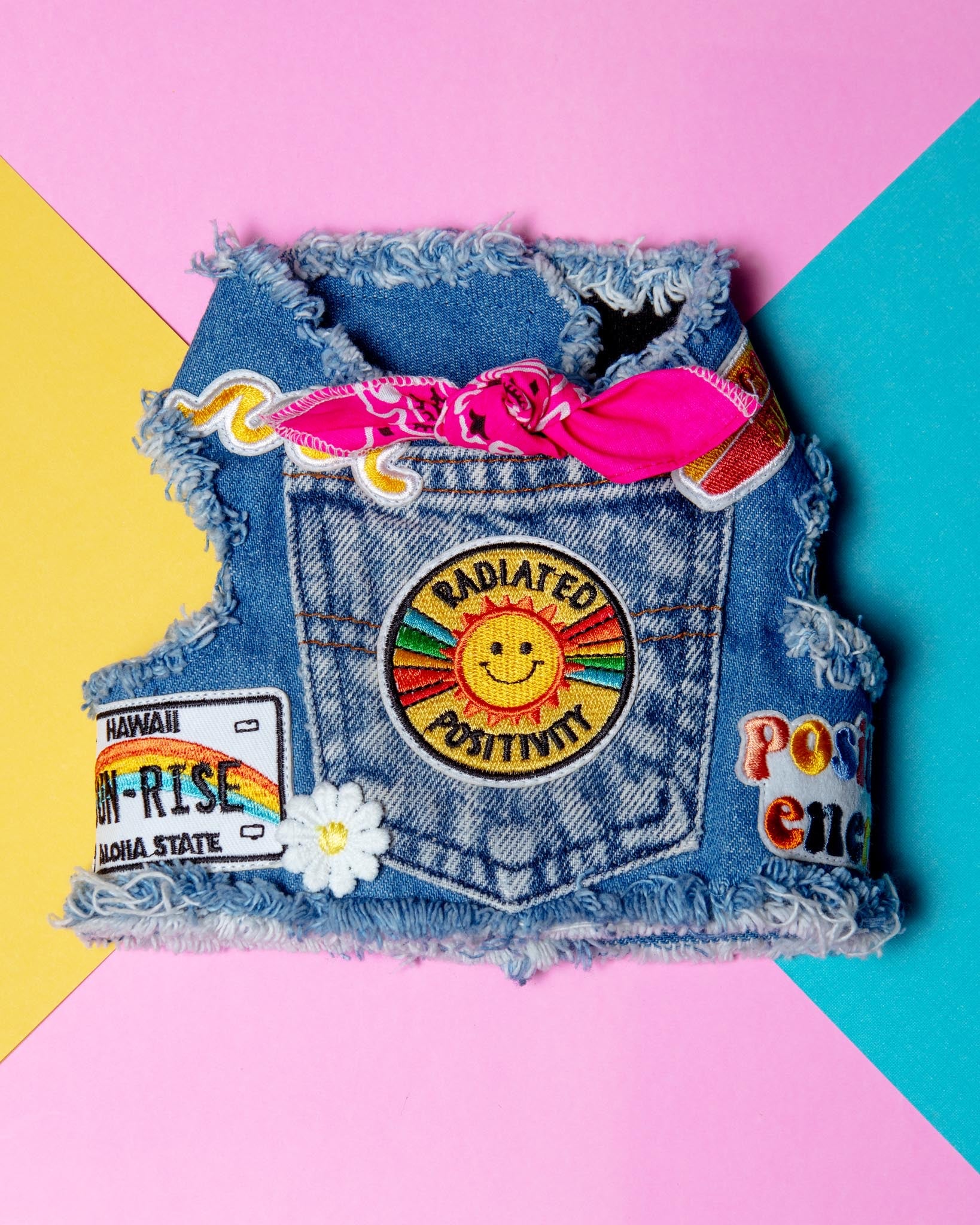 Sunshine Positivity Denim Dog Harness (Made in the USA) - Image 10