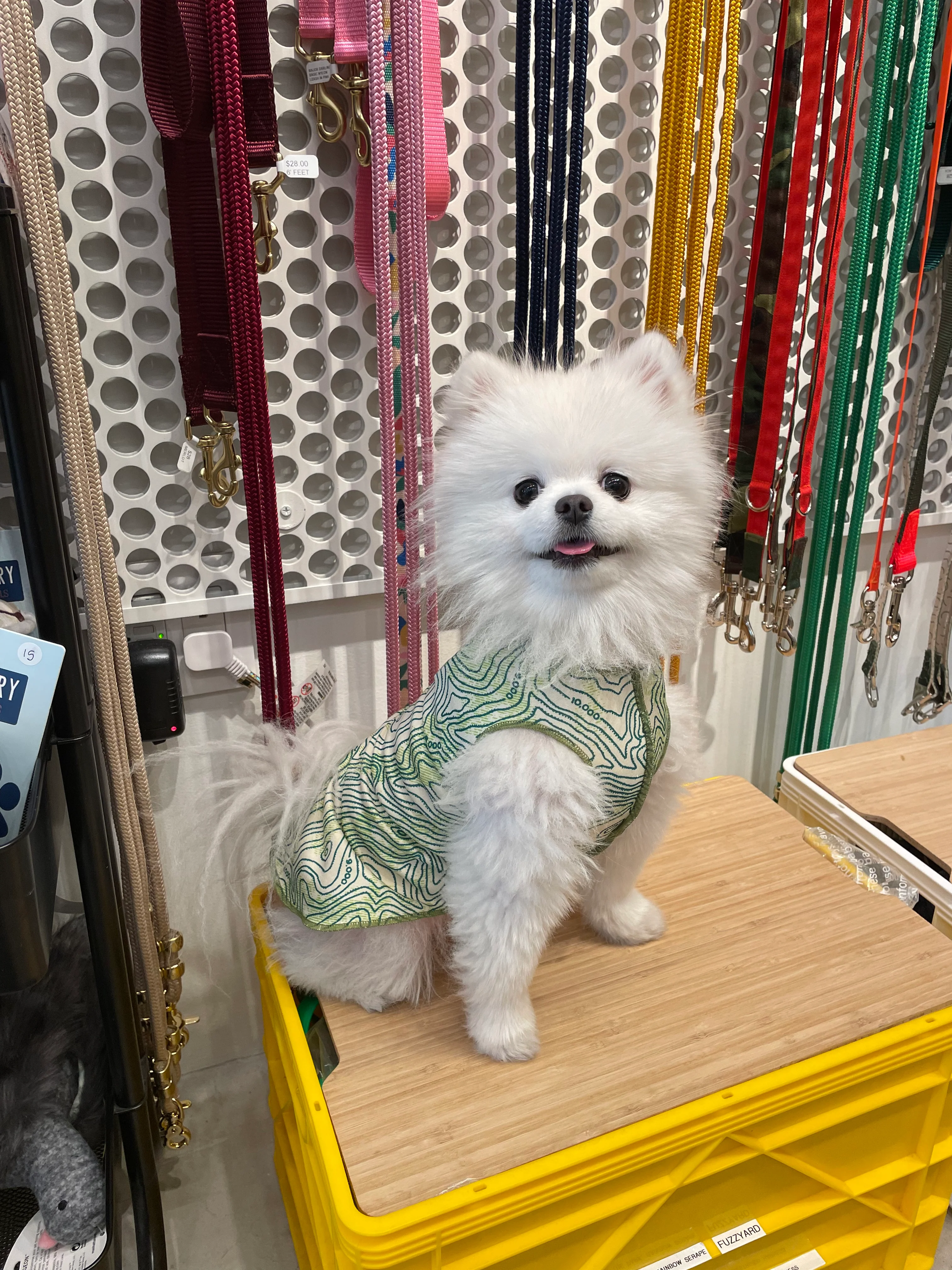 Sun Shield Tee in Grand Teton Green (Made in the USA) - Image 10