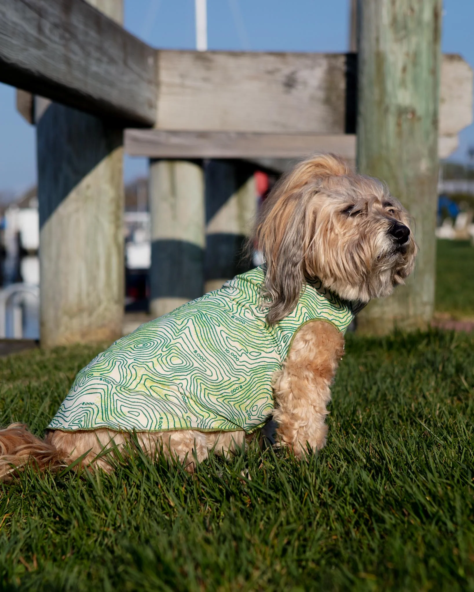 Sun Shield Tee in Grand Teton Green (Made in the USA) - Image 4