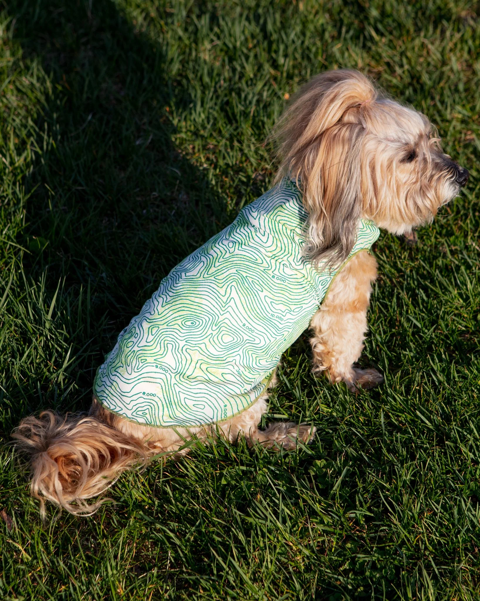 Sun Shield Tee in Grand Teton Green (Made in the USA) - Image 7