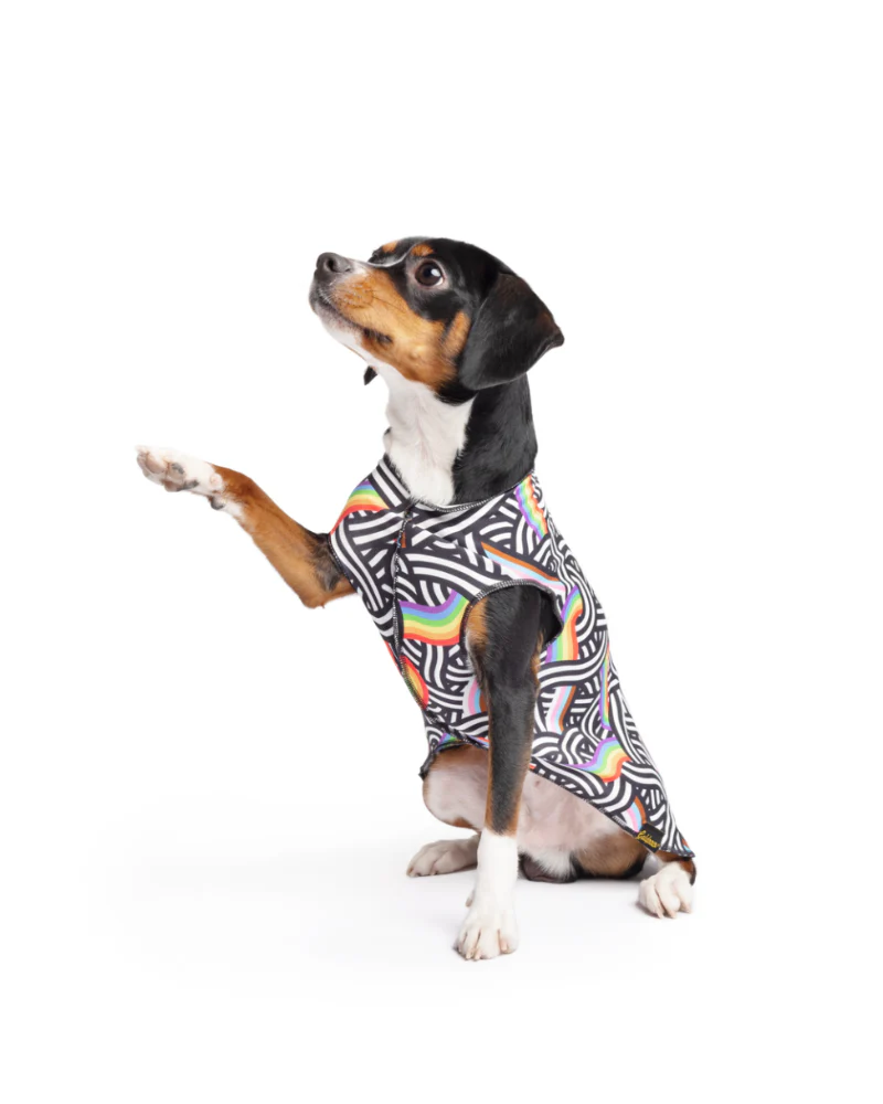 Sun Shield Tee in Rainbow Pride Print (Made in the USA) (FINAL SALE) - Image 2