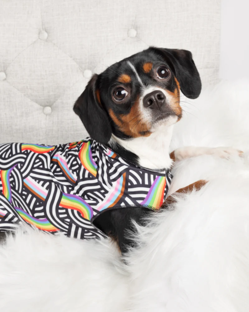 Sun Shield Tee in Rainbow Pride Print (Made in the USA) (FINAL SALE) - Image 4