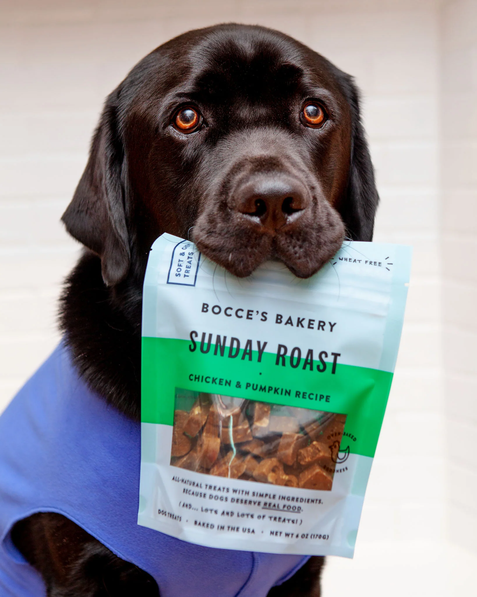 Sunday Roast Chicken & Pumpkin Soft & Chewy Dog Treats - Image 2