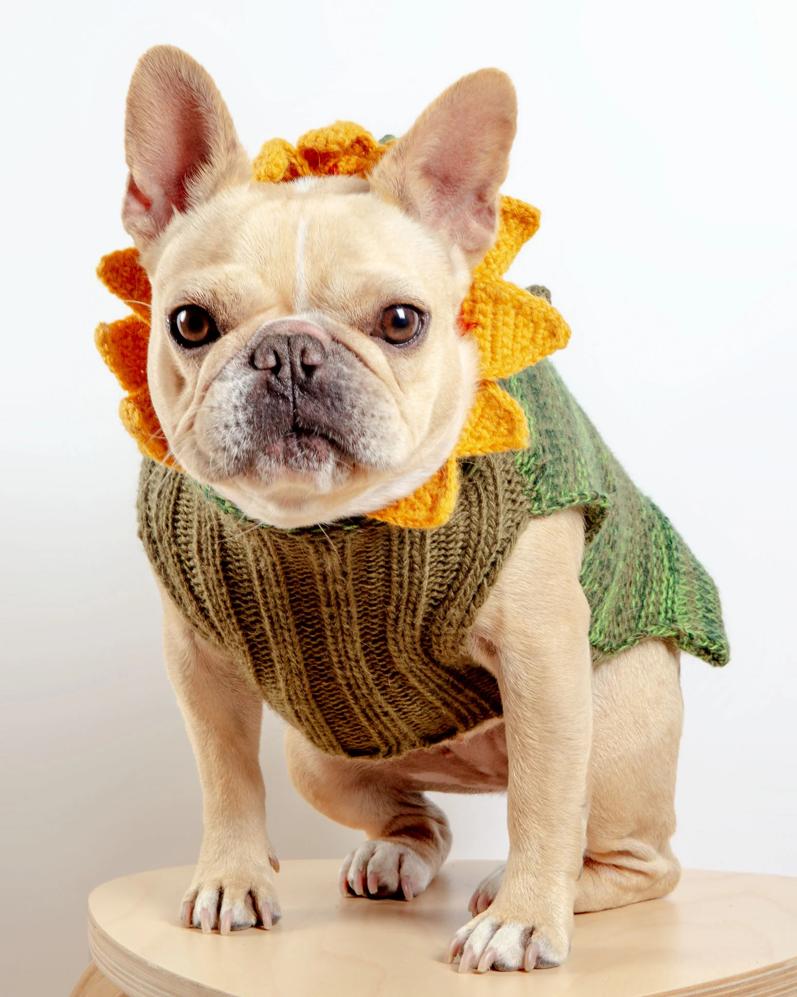 Sunflower Hand-Knit Dog Sweater (DOG & CO. Exclusive) (FINAL SALE) - Image 3