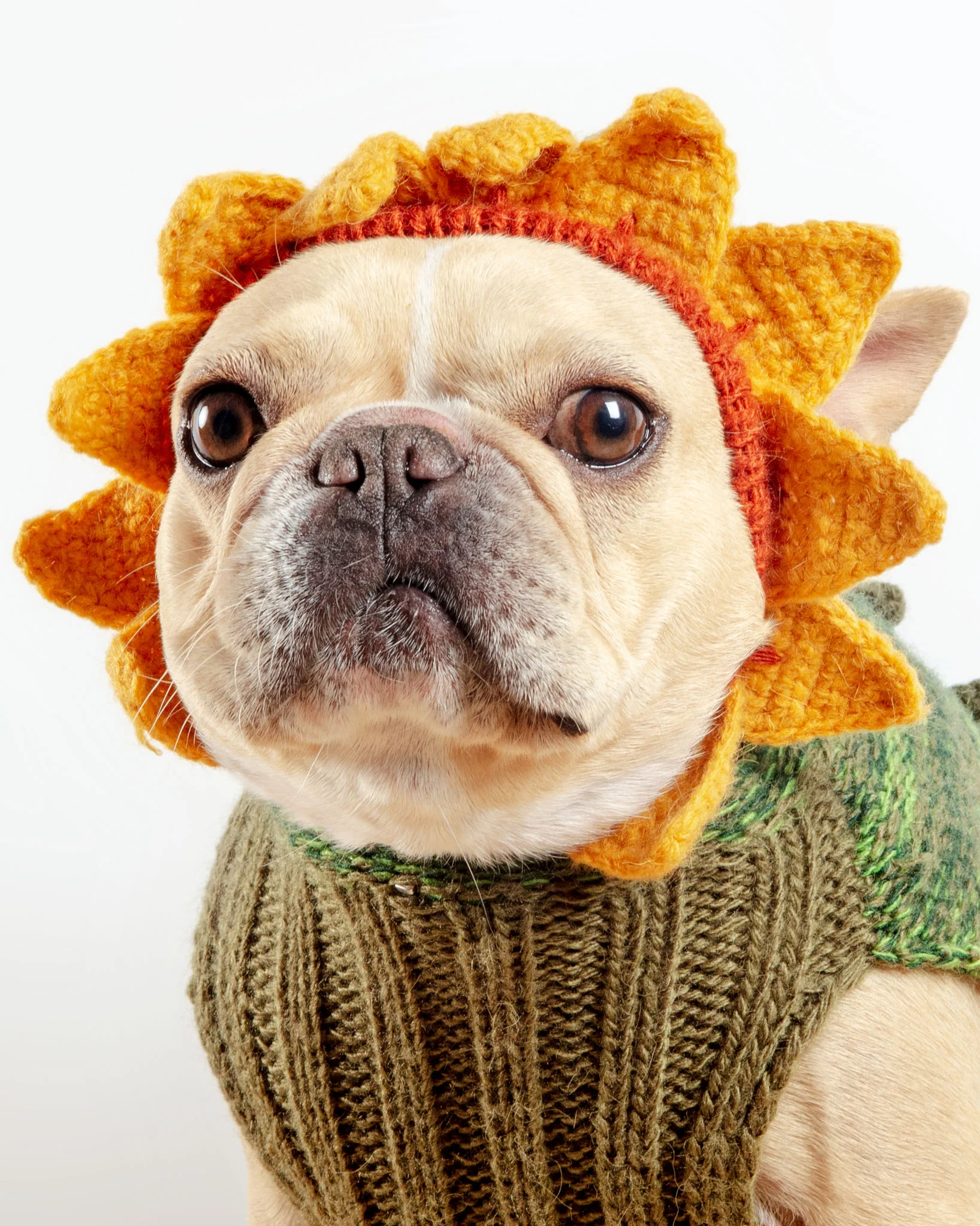 Sunflower Hand-Knit Dog Sweater (DOG & CO. Exclusive) (FINAL SALE) - Image 4
