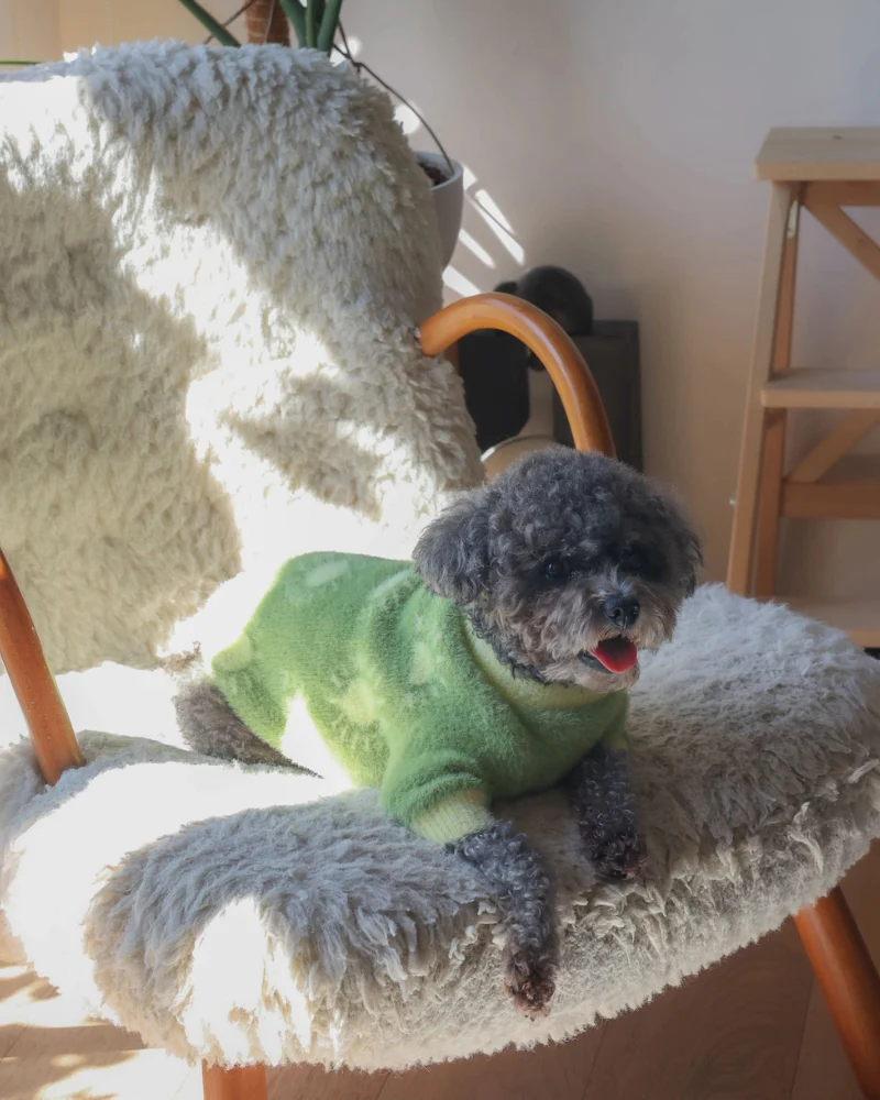 Sunny Day Soft Cloud Dog Sweater - Image 2