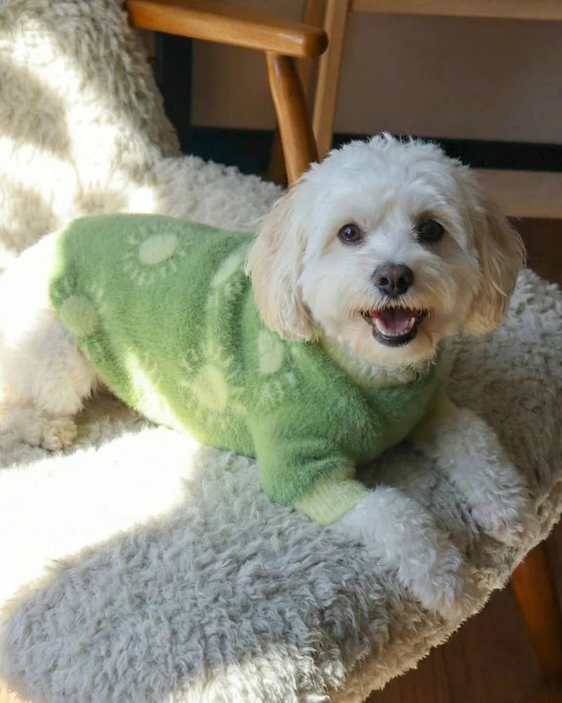 Sunny Day Soft Cloud Dog Sweater - Image 3
