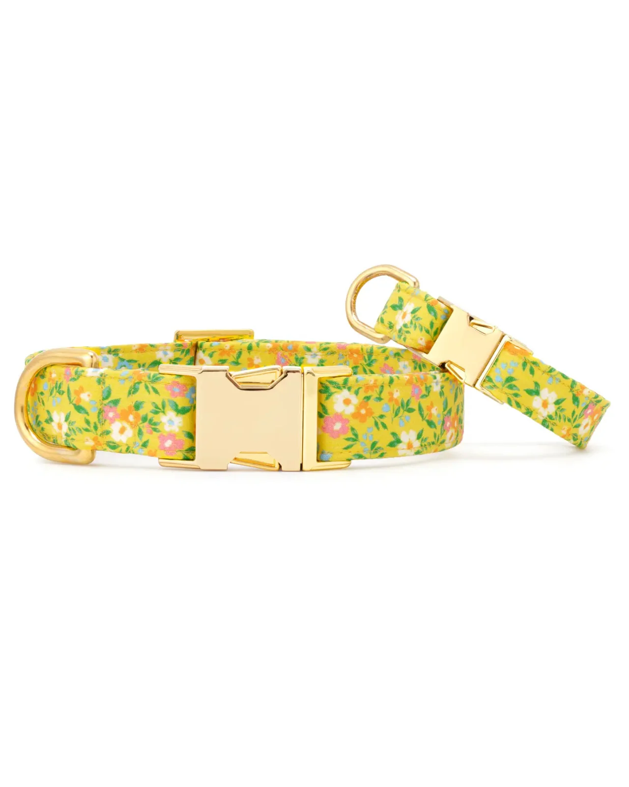 Sunny Meadow Spring Dog Collar (Made in the USA)