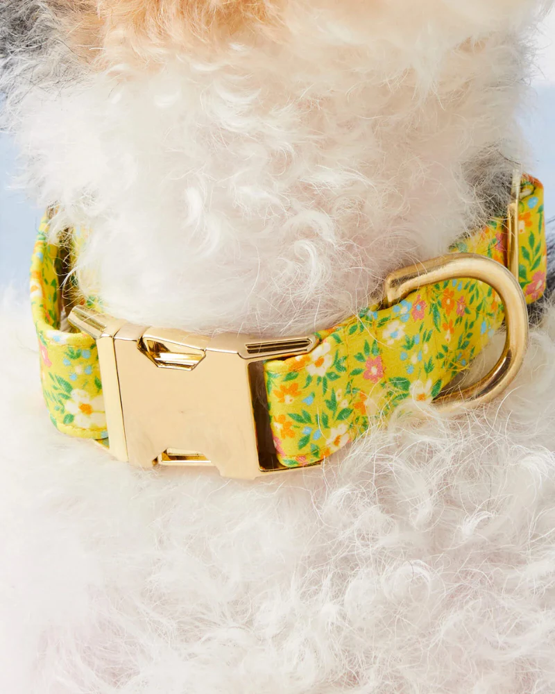 Sunny Meadow Spring Dog Collar (Made in the USA) - Image 2