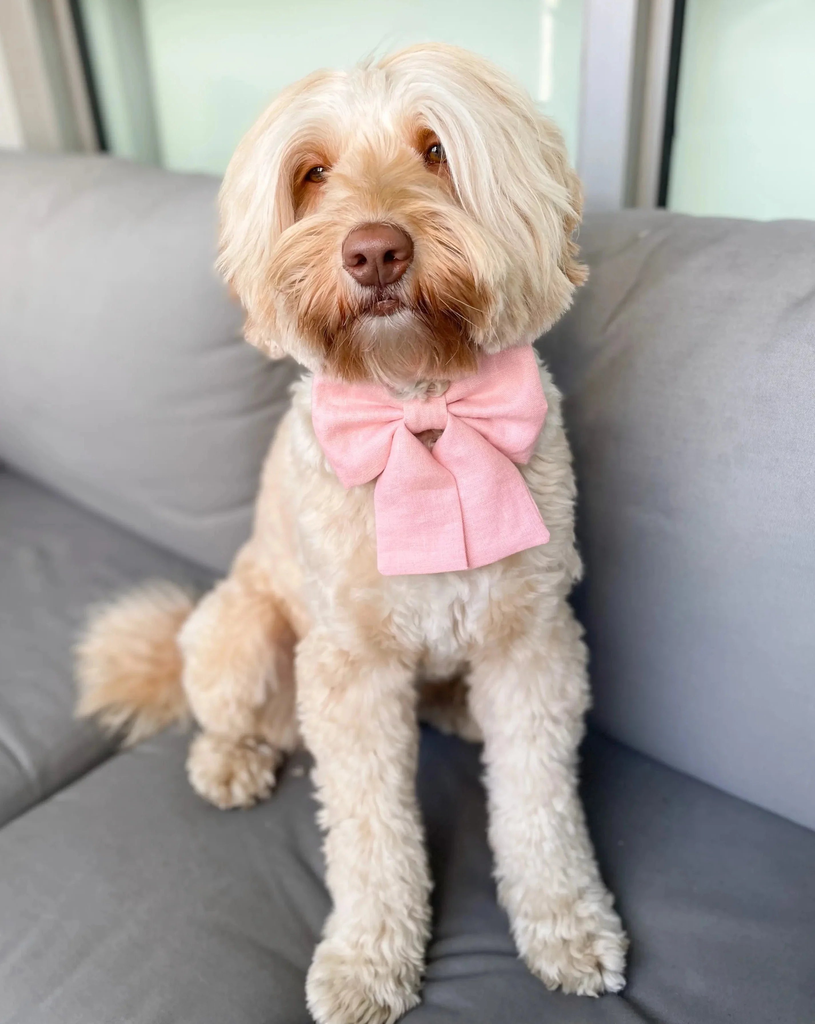 Peach Pink Linen Dog Sailor Bow Tie<br>Made in the USA) - Image 2