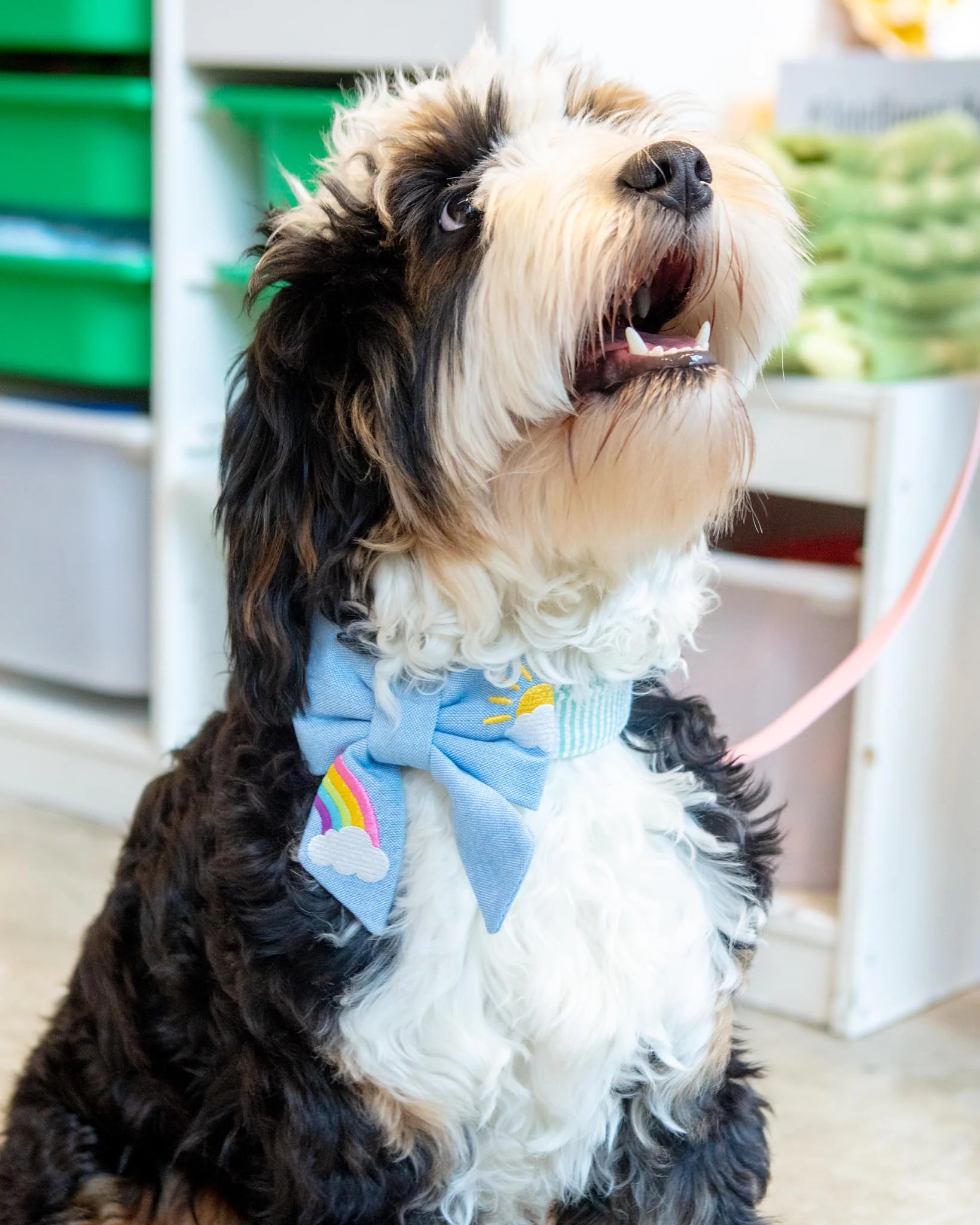 Sunshine and Rainbows Embroidered Lady Dog Bow (Made in the USA)