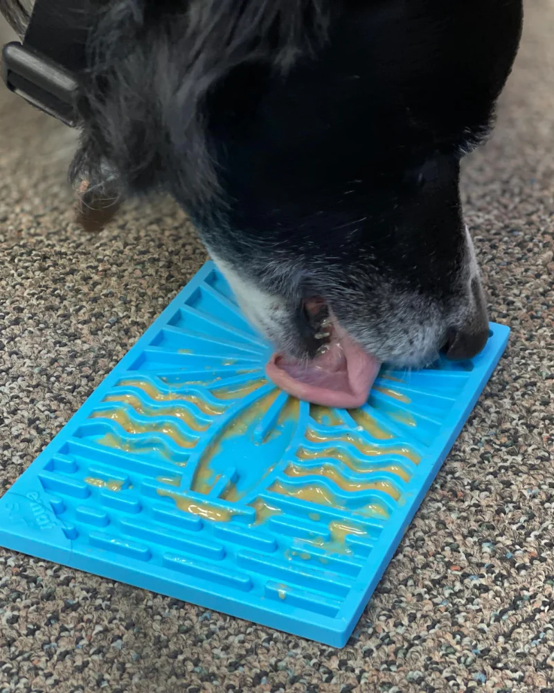Surf's Up Pet Lick Mat (Made in the USA) - Image 7