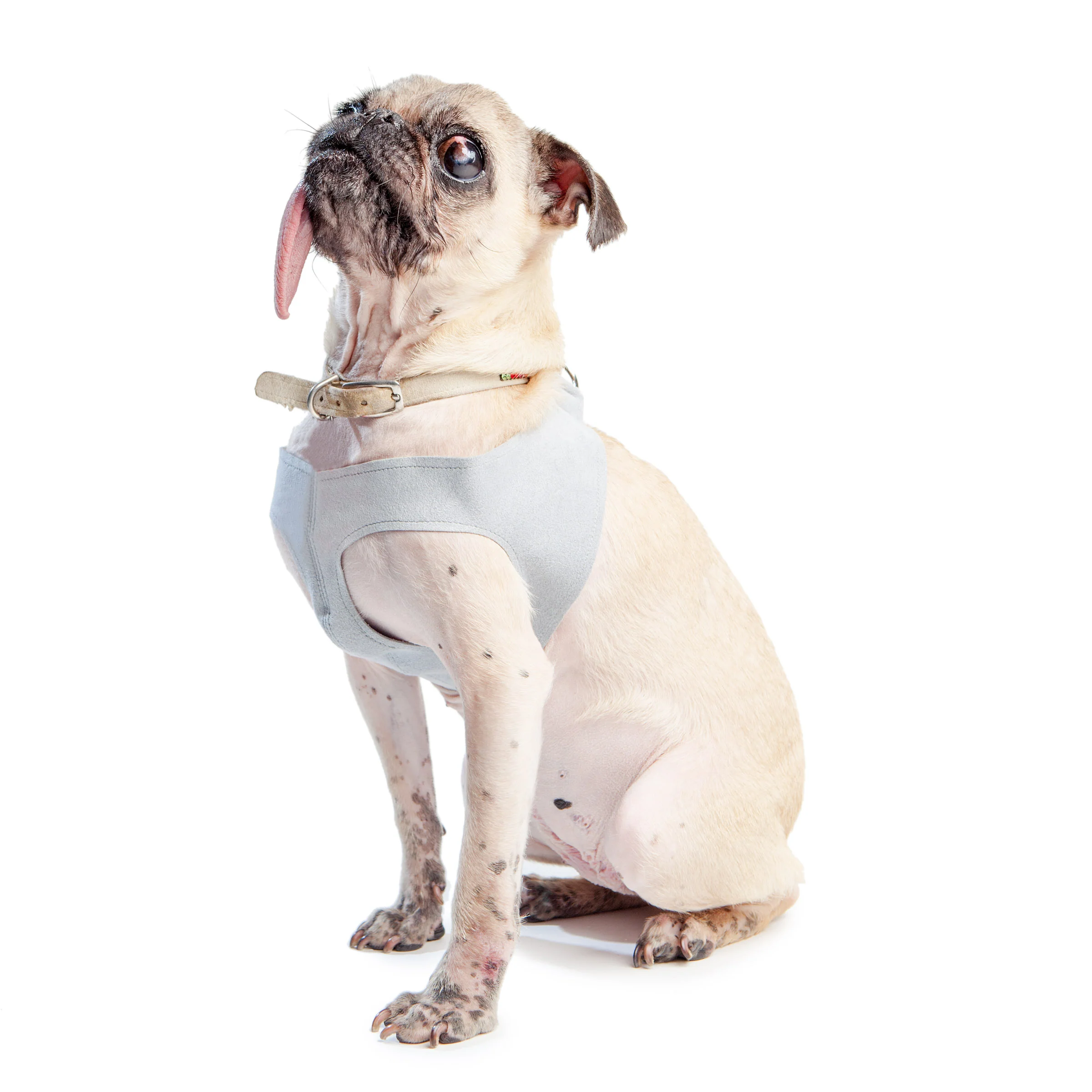 SUSAN LANCI | Step In Harness in Grey
