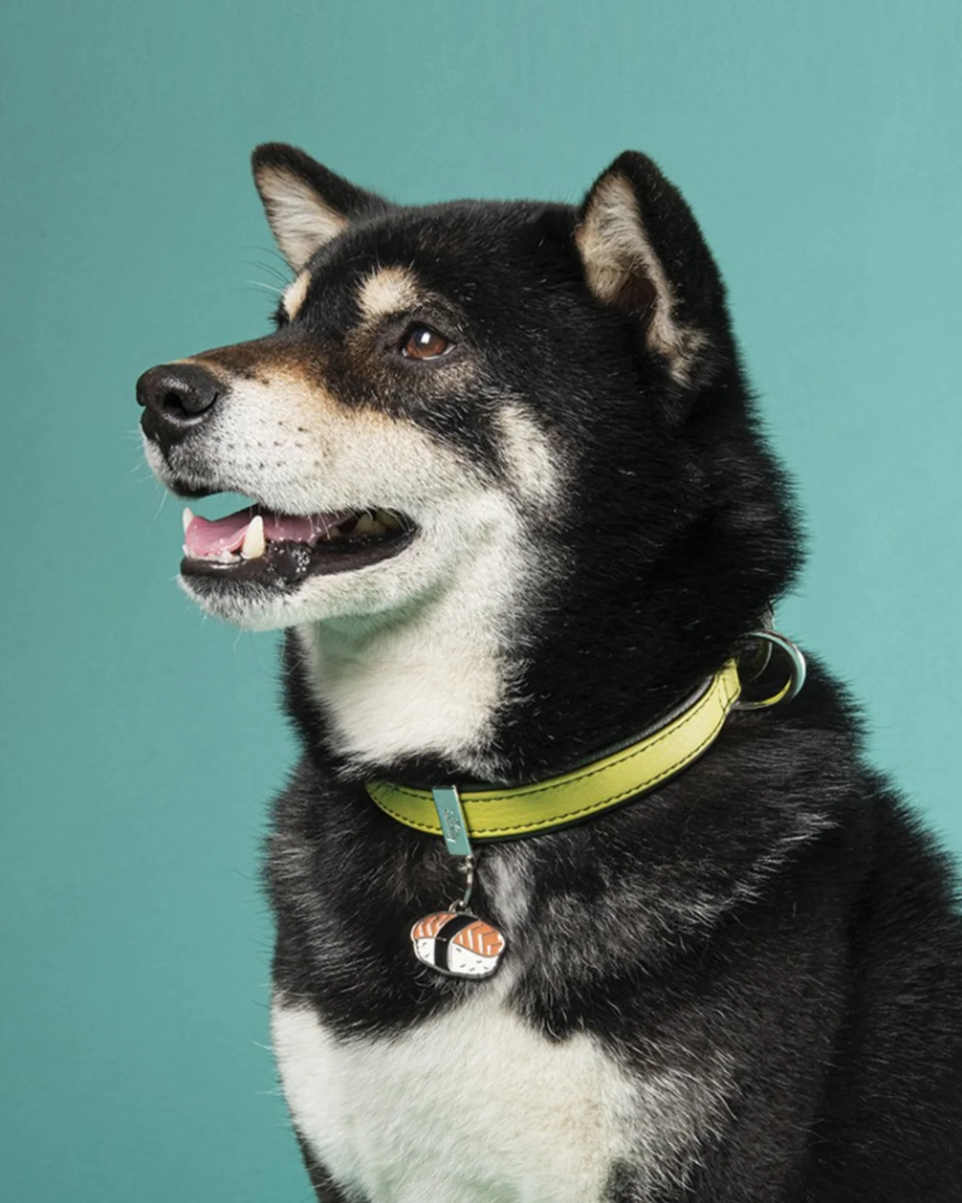 Sushi Sushi Custom Pet ID Tag - Image 2