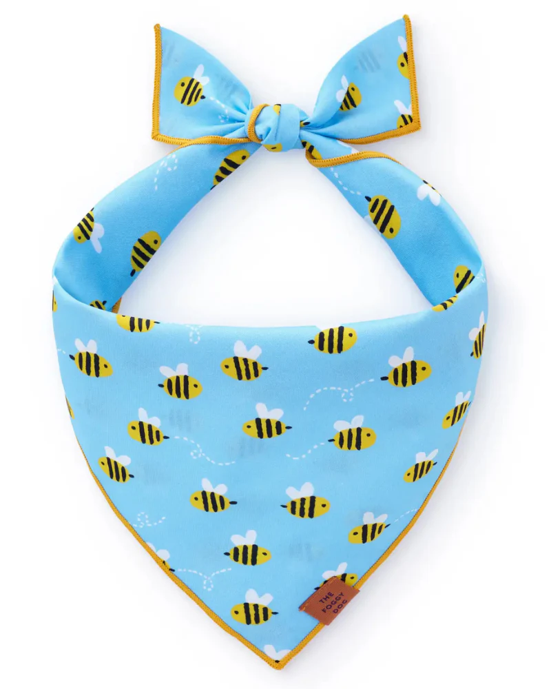 Sweet As Can Bee Dog Bandana - Image 2
