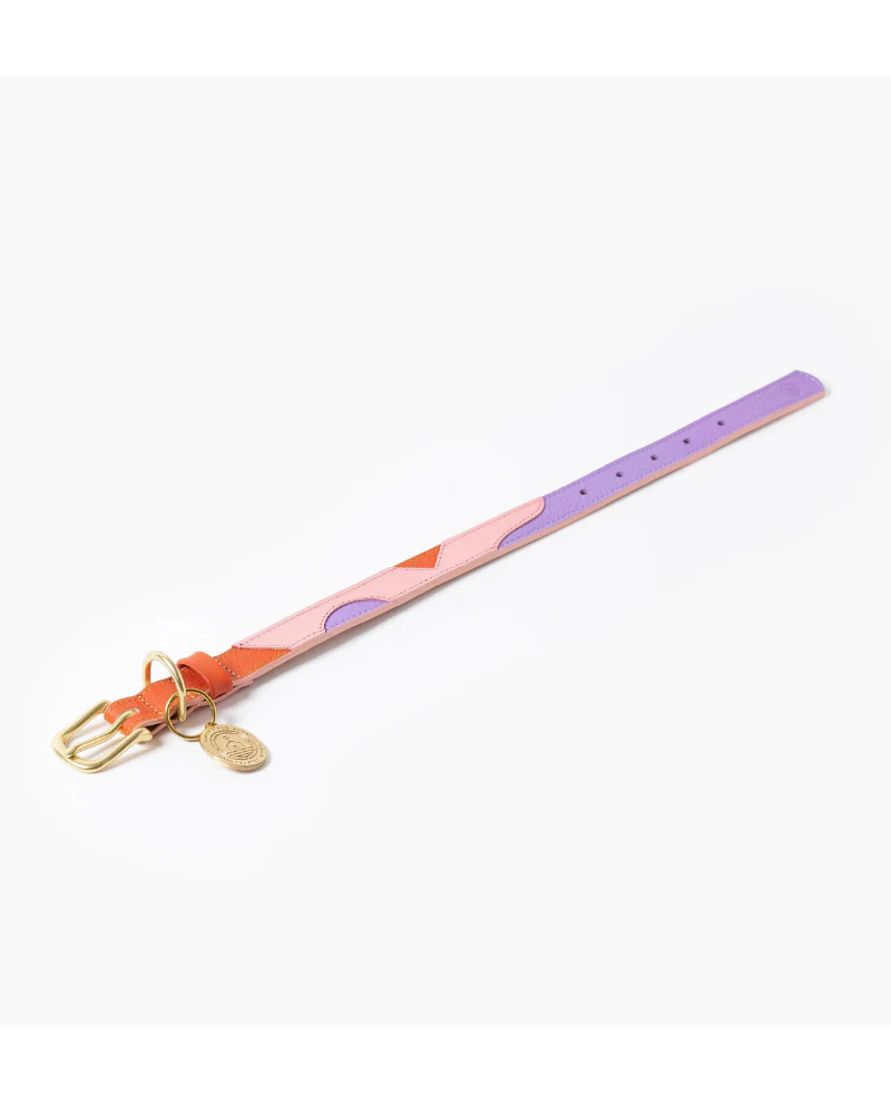 Sweet Leather Dog Collar (Made in Guatemala) - Image 6