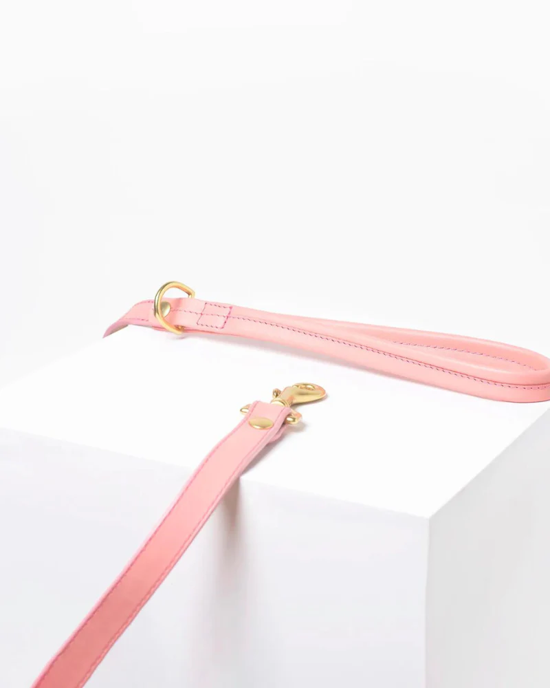Sweet Leather Dog Leash (Made in Guatemala) - Image 2