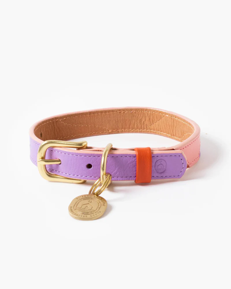 Sweet Leather Dog Leash (Made in Guatemala) - Image 3