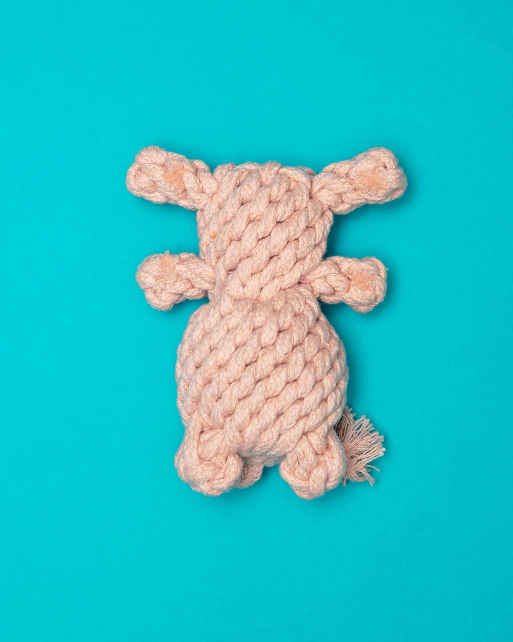 Sweetheart Bear Rope Dog Toy - Image 2
