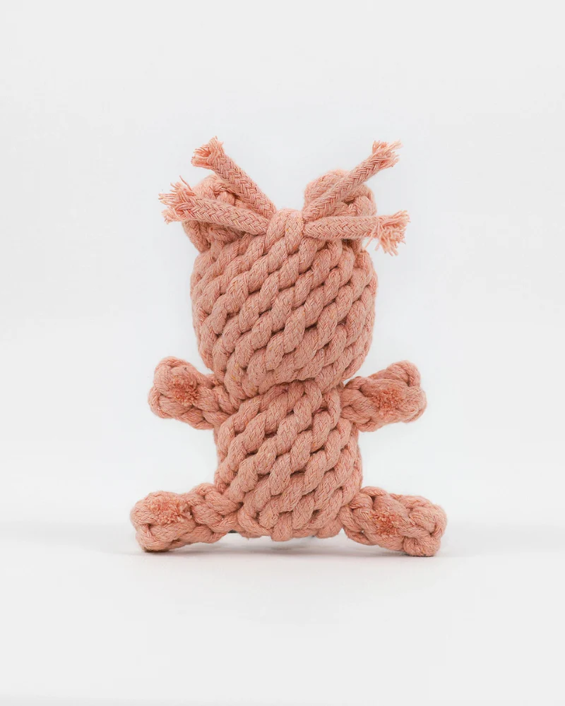 Sweetheart Bear Rope Dog Toy - Image 3