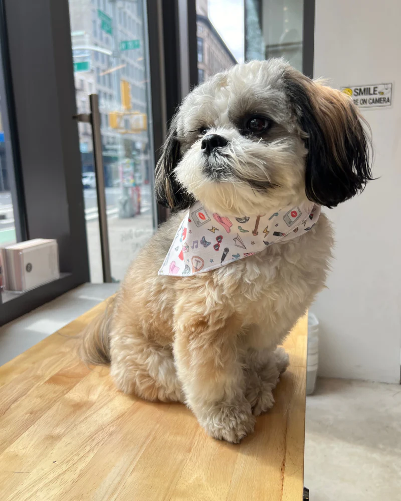 Swiftie Dog Bandana (Made in the USA) - Image 2