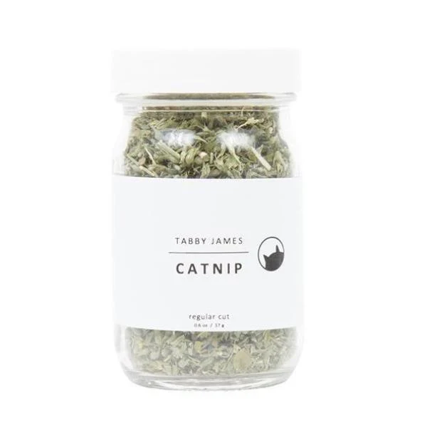TABBY JAMES | Catnip Regular Cut - Image 2