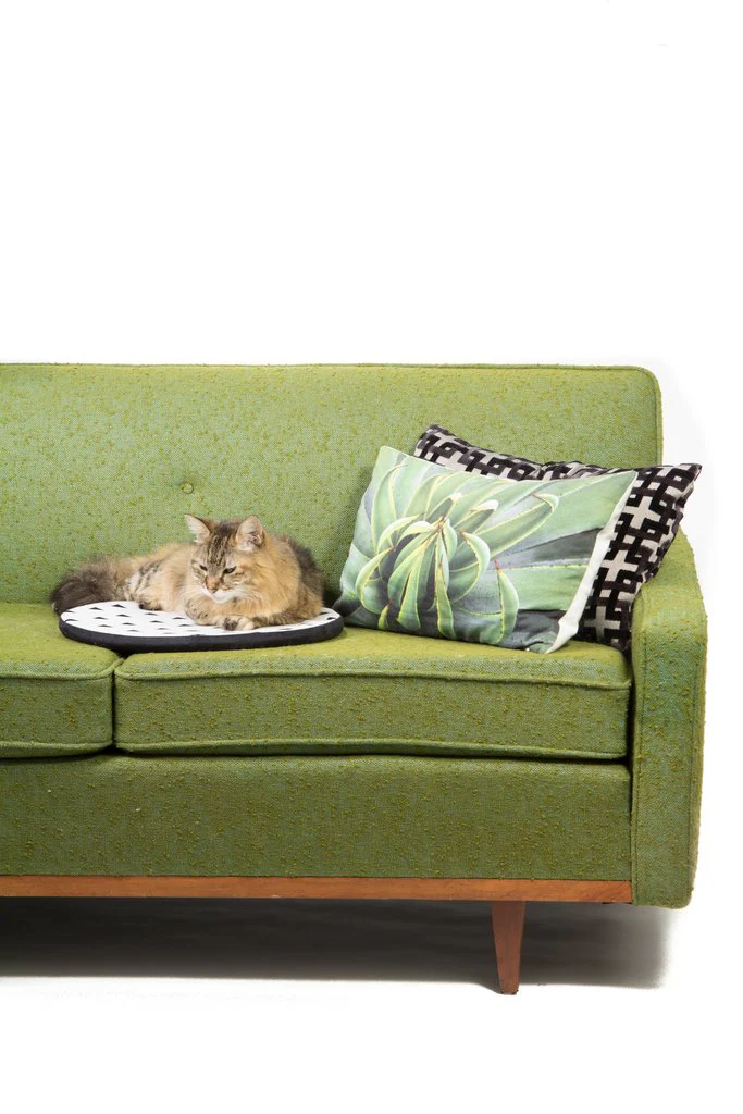 TABBY JAMES | Kitty Nap Pad in Black - Image 3