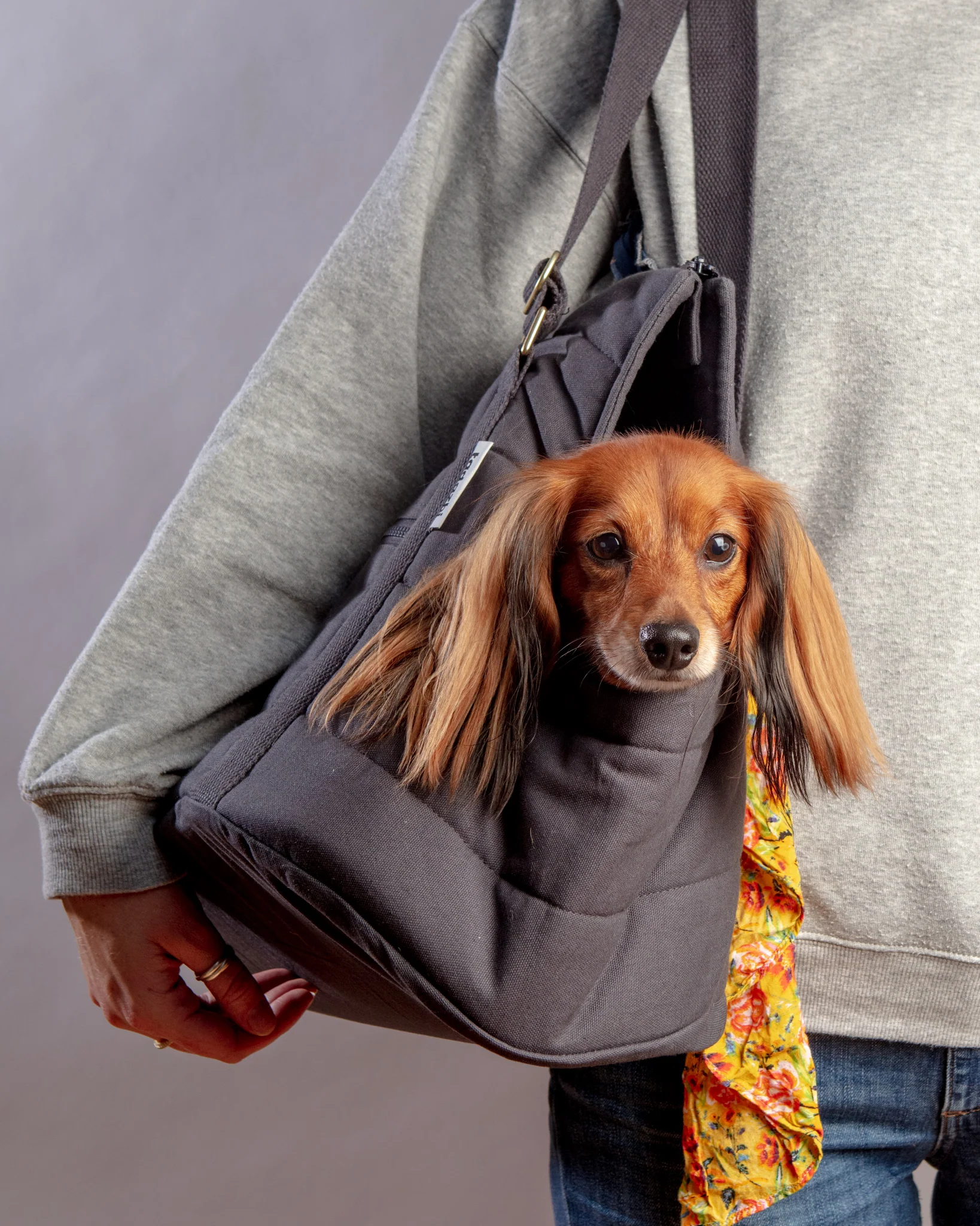 Rio Dog Carrier Bag in Warm Grey (FINAL SALE) - Image 2