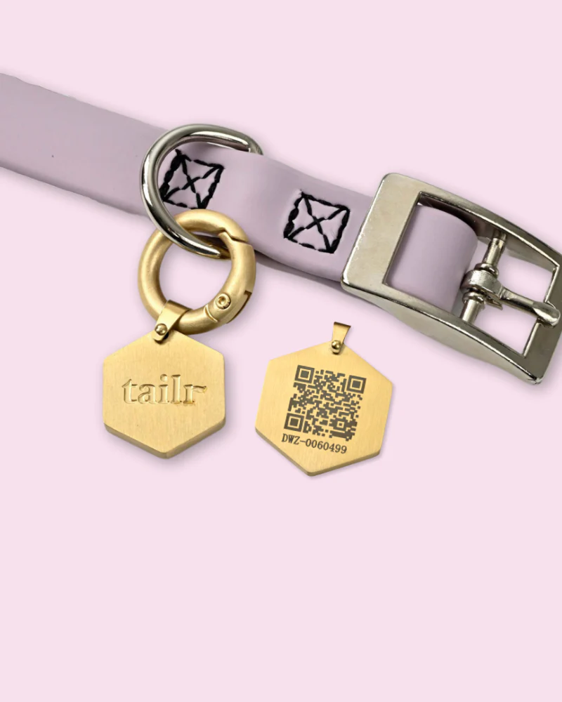Tailr QR ID Tag for Pets (Classic Hanging Tag) (FINAL SALE) - Image 3