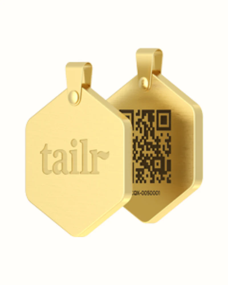 Tailr QR ID Tag for Pets (Classic Hanging Tag) (FINAL SALE) - Image 4