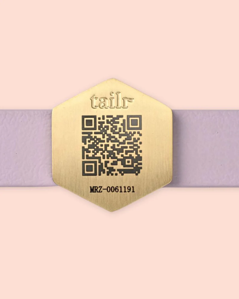 Tailr QR ID Tag for Pets (Slide Tag) - Image 2