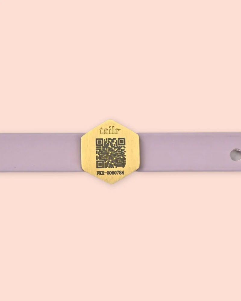 Tailr QR ID Tag for Pets (Slide Tag) - Image 5