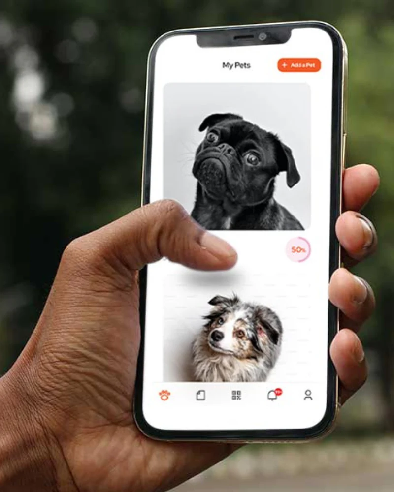 Tailr QR ID Tag for Pets (Slide Tag) - Image 7