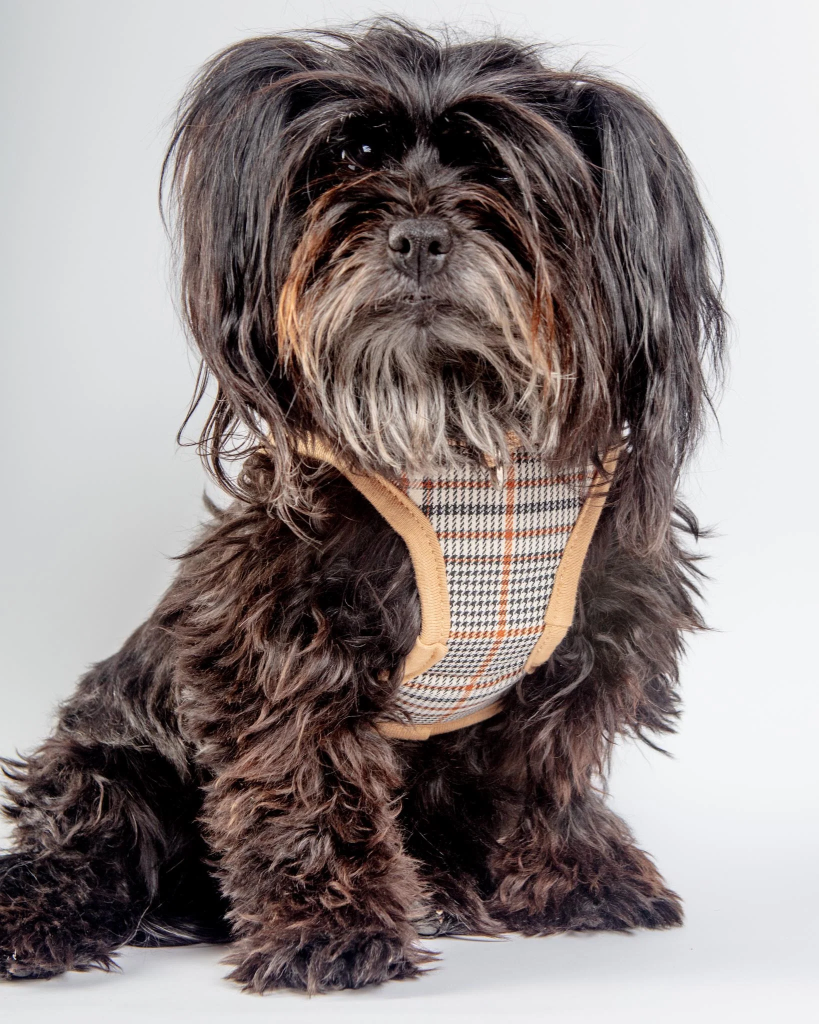 Tan Tartan Plaid Step-in Dog Harness - Image 3