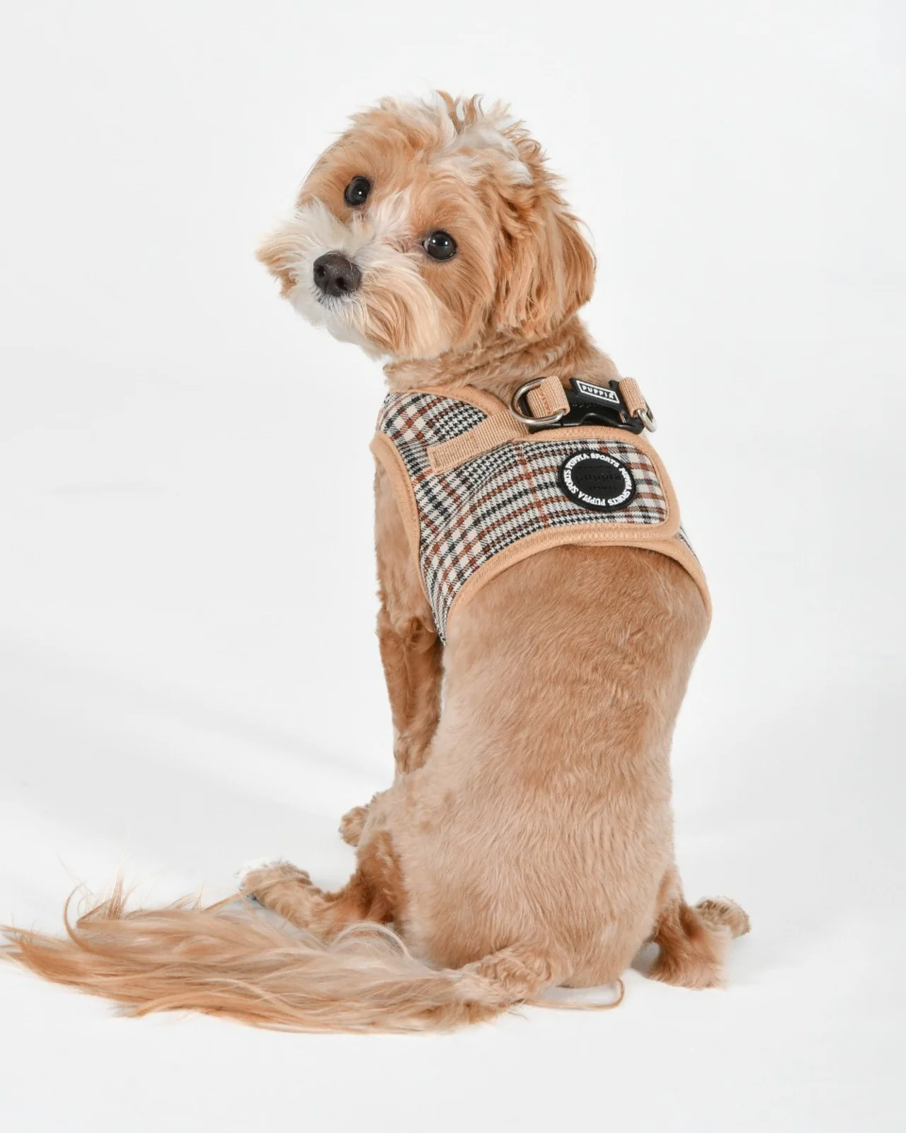 Tan Tartan Plaid Step-in Dog Harness - Image 4