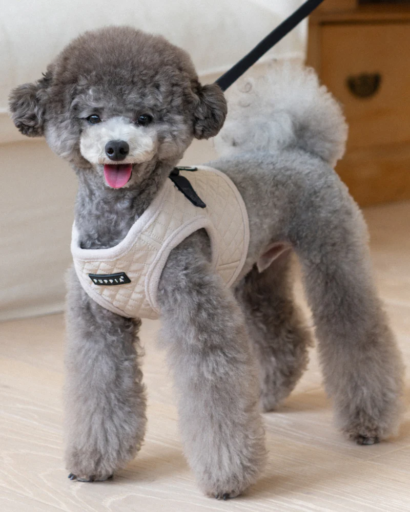 Irvin Fleece-Lined Dog Harness in Cream - Image 4