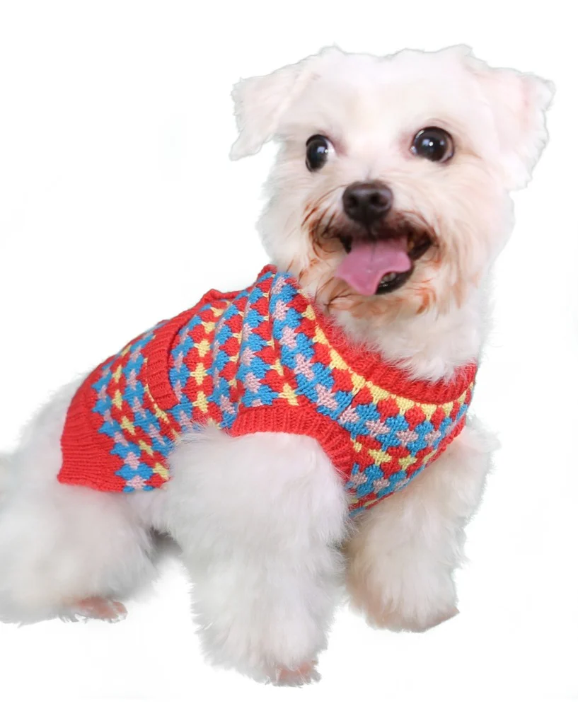Tangerine Dreams Small Dog Cardigan Sweater (FINAL SALE) - Image 3