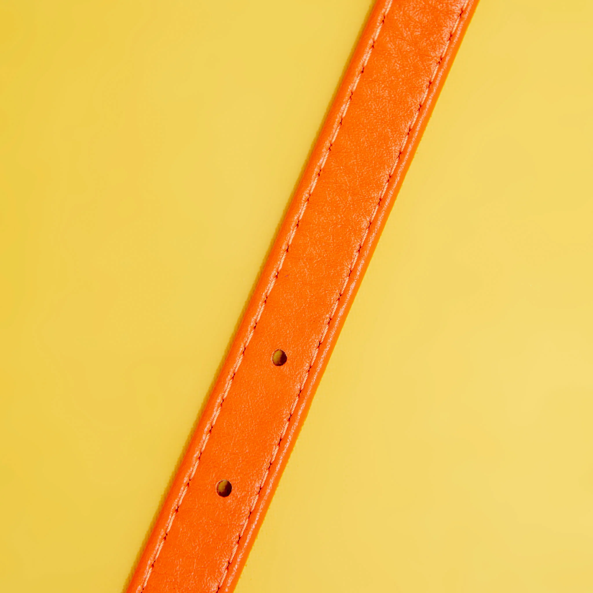 Tangerine Orange Leather Dog Collar << CLEARANCE >> - Image 4