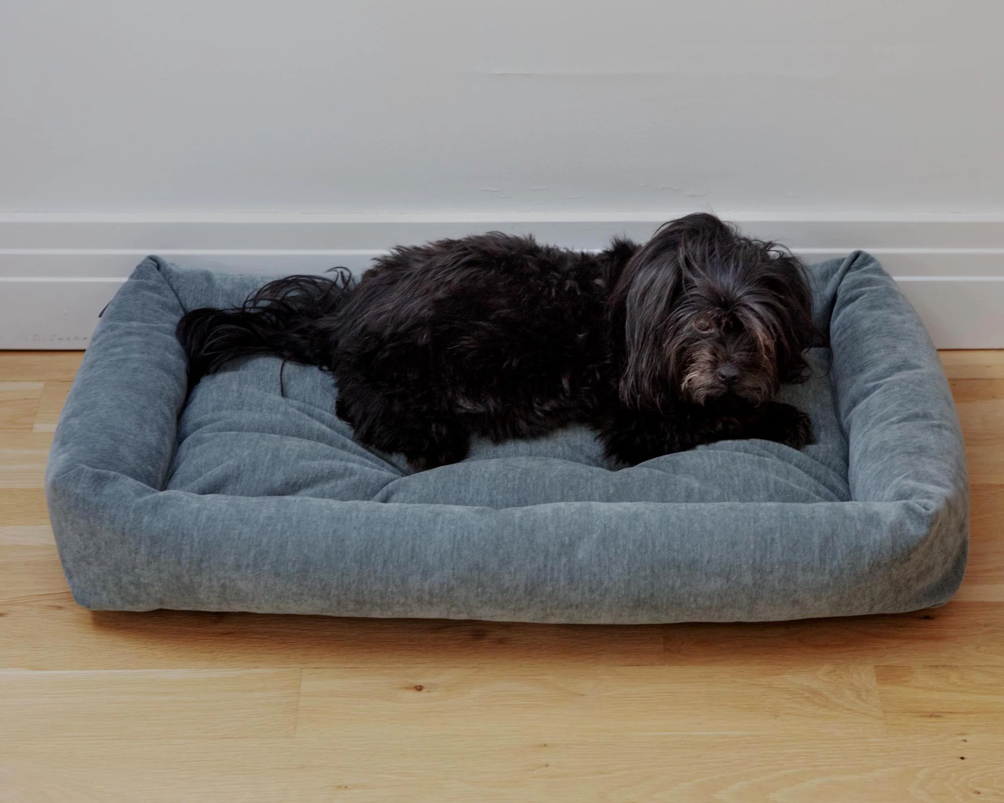 Tango Dog Bed in Mineral Grey (Made in Canada) - Image 5