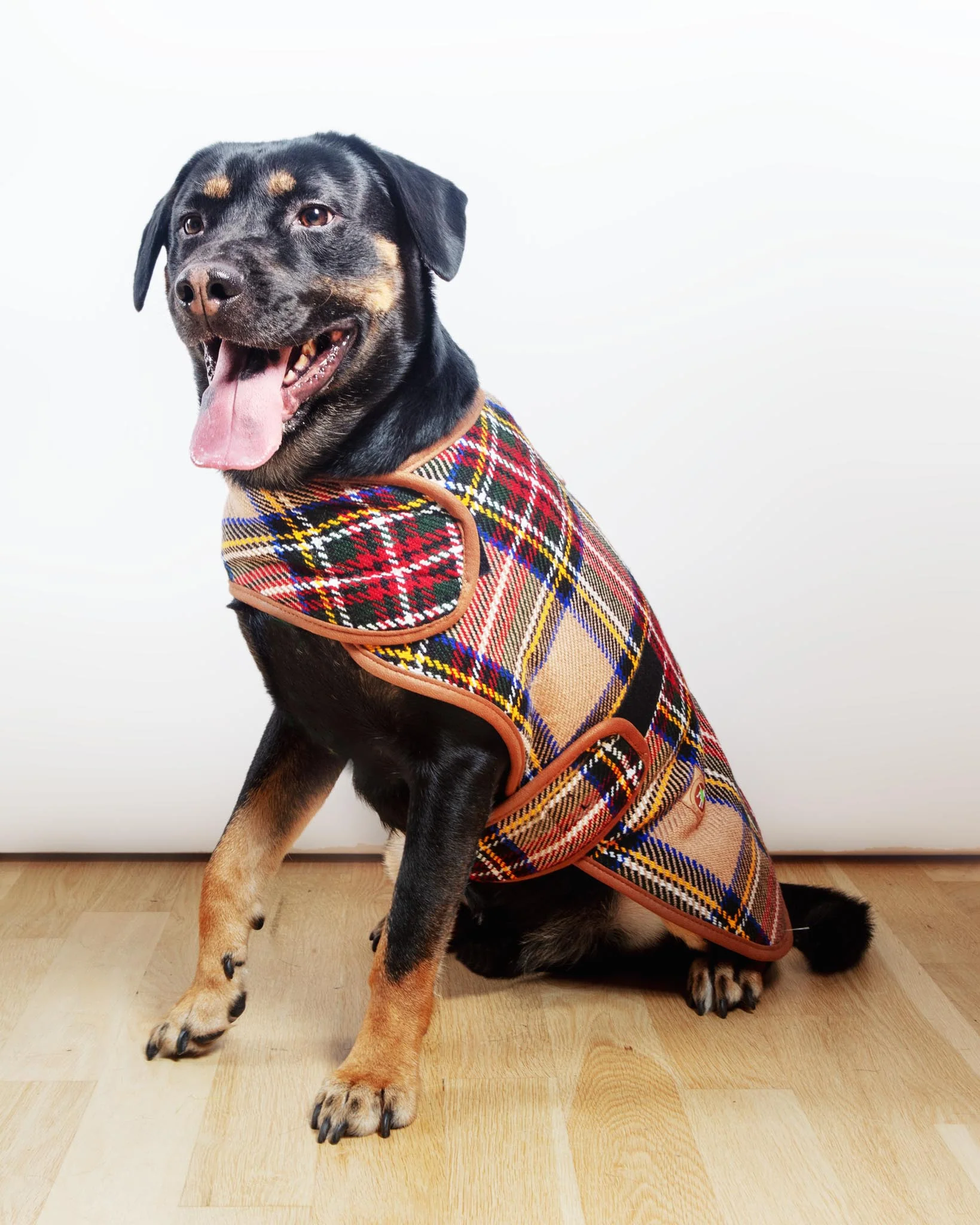 Tan Tartan Plaid Dog Coat - Image 2