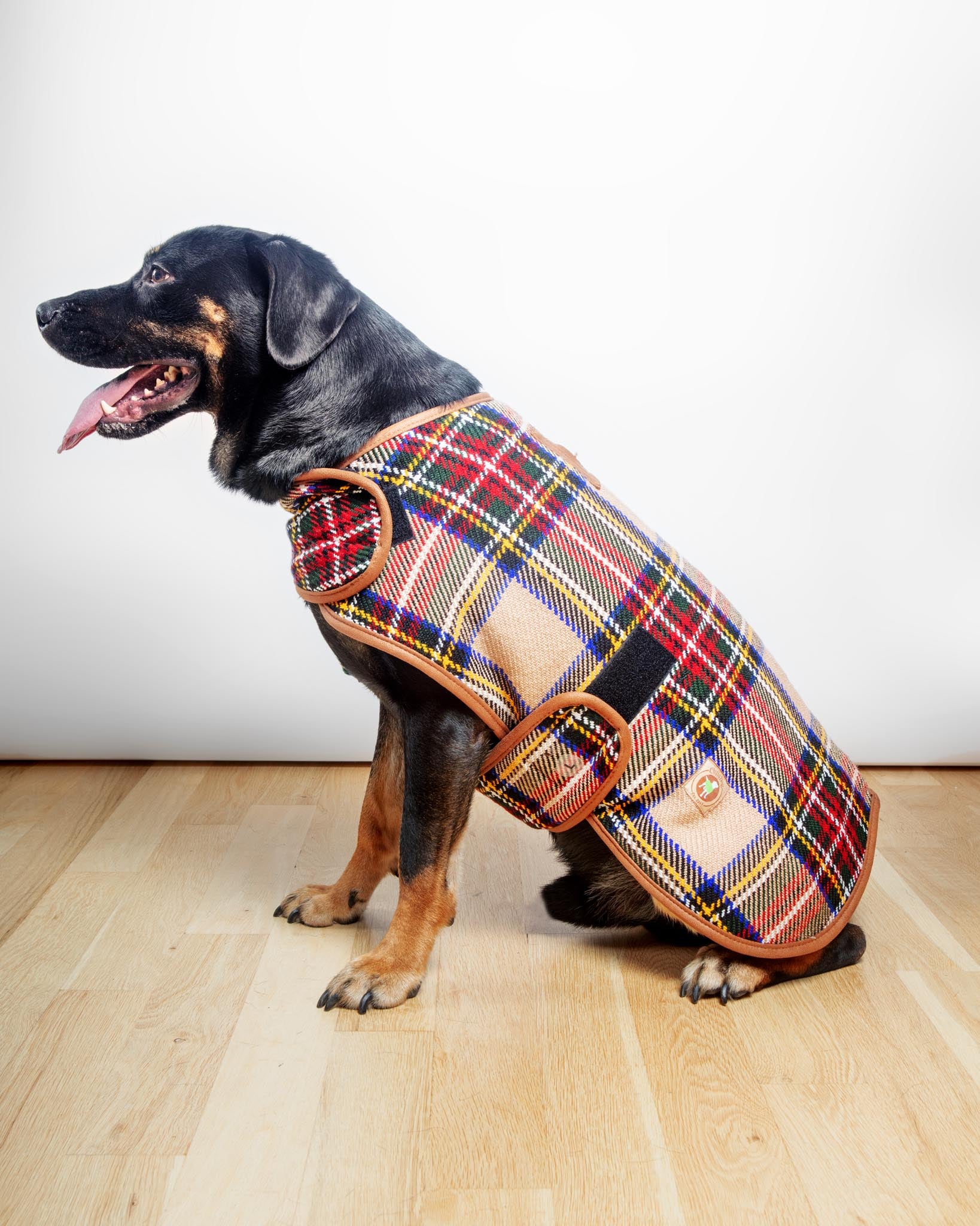 Tan Tartan Plaid Dog Coat - Image 4