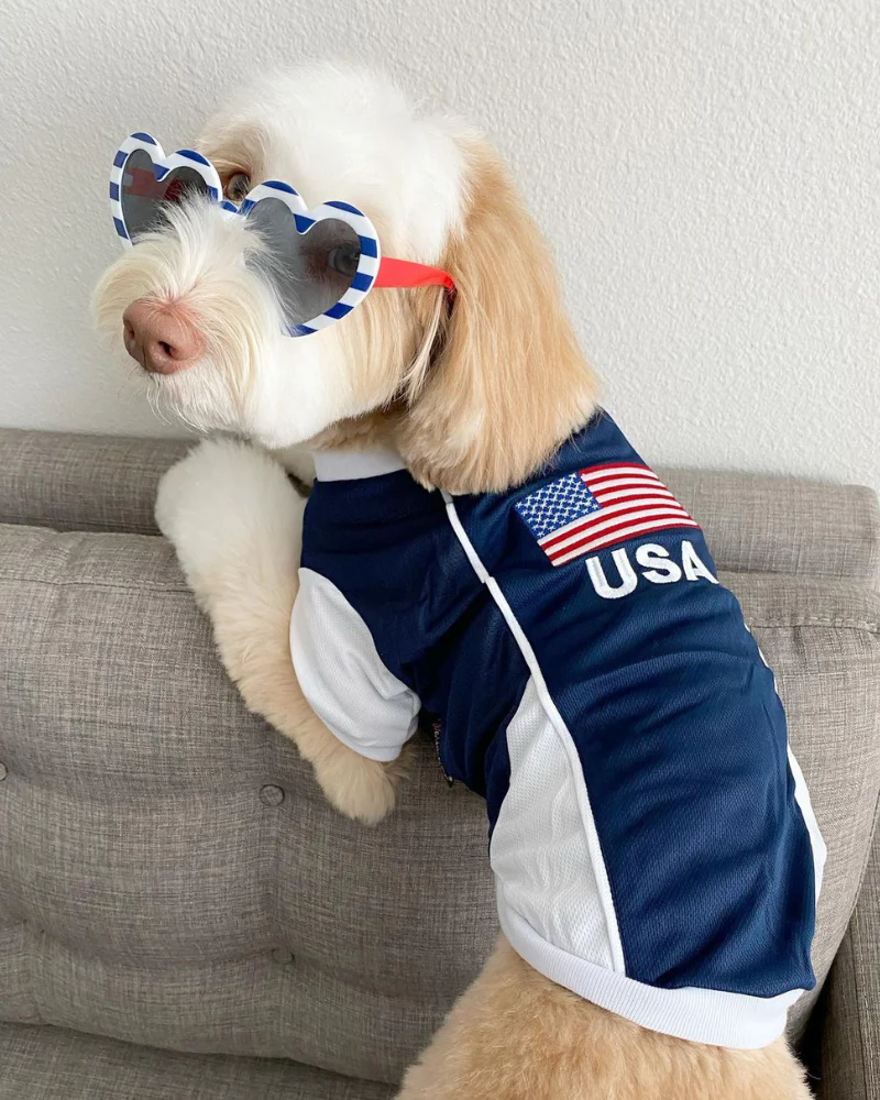 Team USA Dog Jersey (FINAL SALE) - Image 3