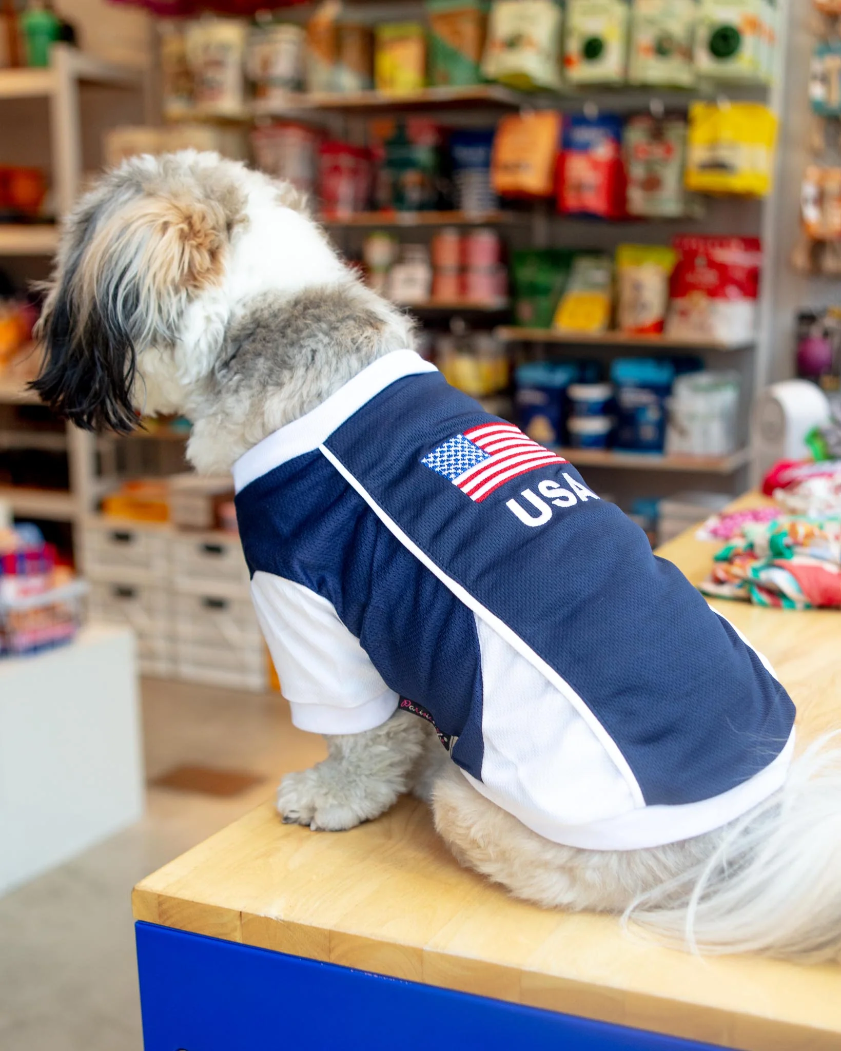 Team USA Dog Jersey (FINAL SALE) - Image 4