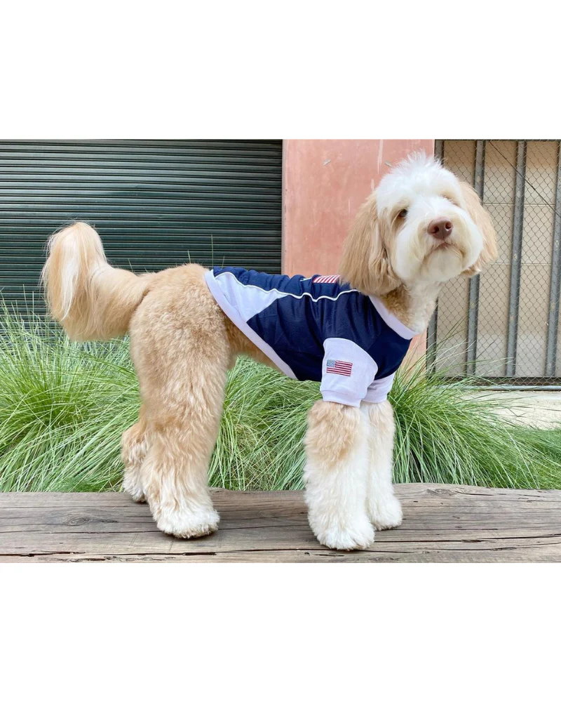Team USA Dog Jersey (FINAL SALE) - Image 5