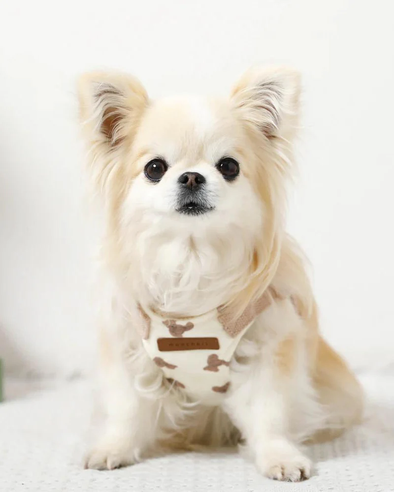 Teddy Bear Step-In Dog Harness - Image 2