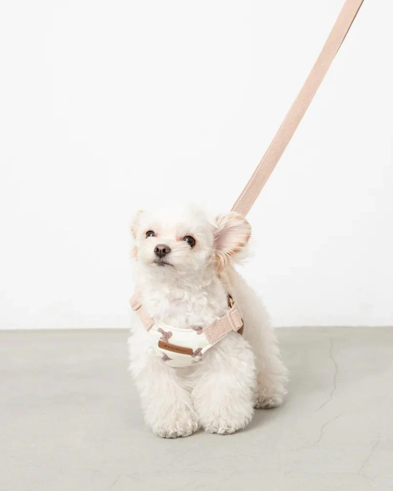 Teddy Bear Step-In Dog Harness - Image 3